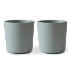 SET 2 BICCHIERI SOLID SAGE...