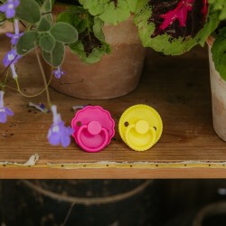 PACK 2 CHUPETES BLOCK SILICONA ROPE/DAISY SUNFLOW./FUCHSIA 6+