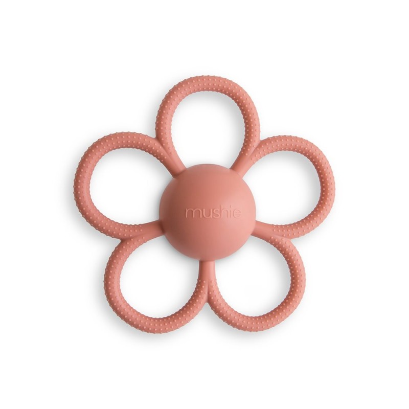 HOCHET DENTITION DAISY DUSTY ROSE 14x14x5 CM