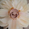 PACK 2 CHUPETES BLOCK LATEX DAISY BLUSH/COTTON CANDY 6+