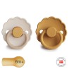 LATEX PACIFIER BLOCK 2 PACK DAISY CHAMOMILE/HONEY G. 6+